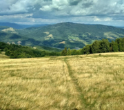 Rimavská Sobota - Kraskovo - Rim.Baňa - Kokava - Slopovo rozhľadňa  galeria