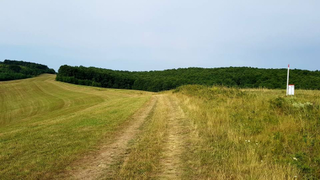 Lučenec - Mučín - Lipovany (rozhľadňa) galeria