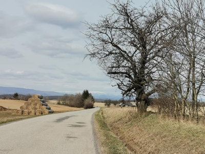 Rimavské Brezovo - Babinec - Maginhard - Hrachovo - Rimavské Brezovo galeria