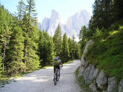 Lunch Mountain Bike Ride galeria