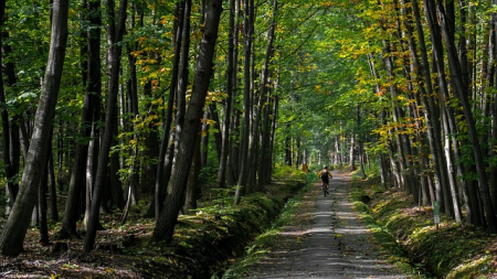 Krásne mtb galeria